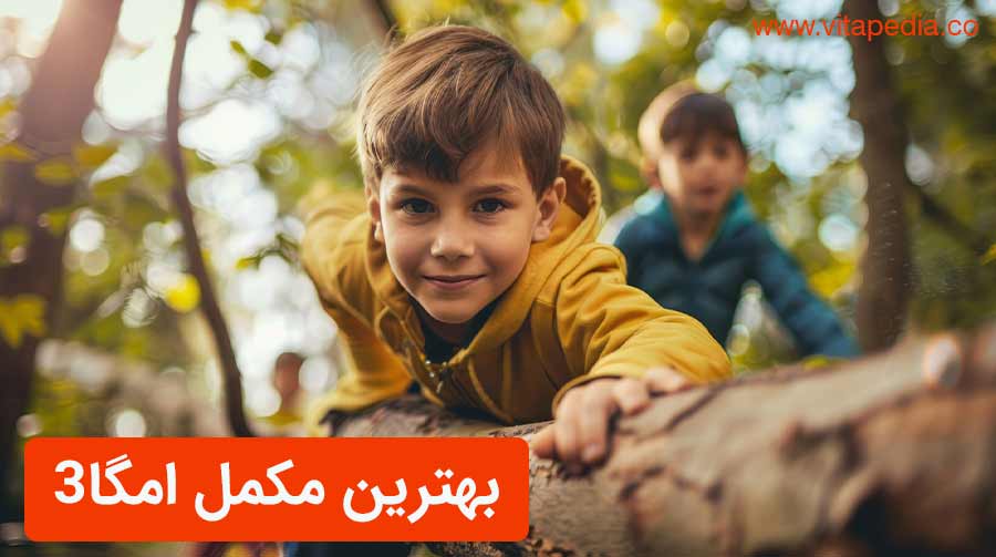 بهترین مکمل امگا3
