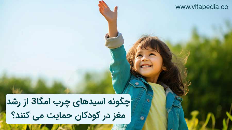 چگونه اسیدهای چرب امگا3 از رشد مغز در کودکان حمایت می کنند؟