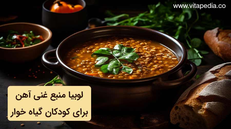 لوبیا منبع غنی آهن برای کودکان گیاه خوار